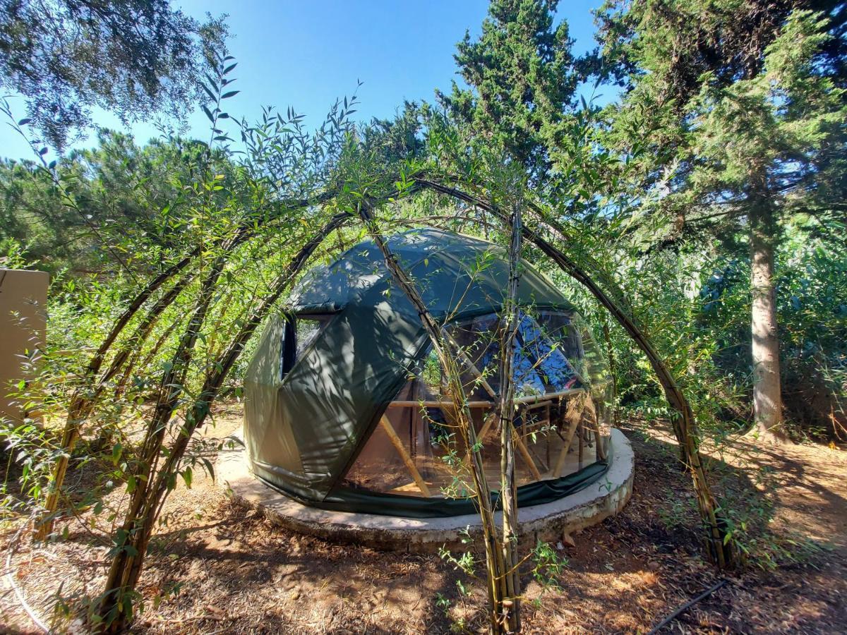 Salema Eco Camp - Sustainable Camping & Glamping Ngoại thất bức ảnh